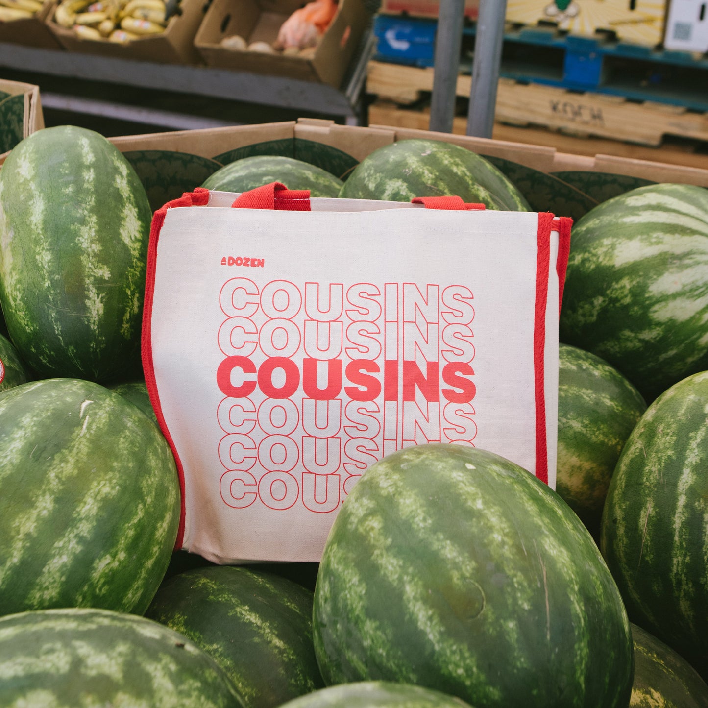 Cousins Tote Bag